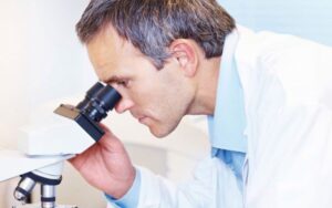 Une analyse dans le cadre du Laboratoire de coupe de DIENES, qui fait partie de l'Académie de coupe de DIENES.