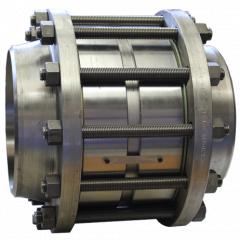 Ein DIENES Rückschlagventil mit Gehäuse für Anwendungen in der Petrochemie.