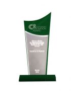 Das Bild zeigt den C2 American Innovation Award, den DIENES 201 erhielt.