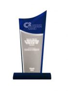 Das Bild zeigt den C2 American Innovation Award , den DIENES 2013 erhielt.