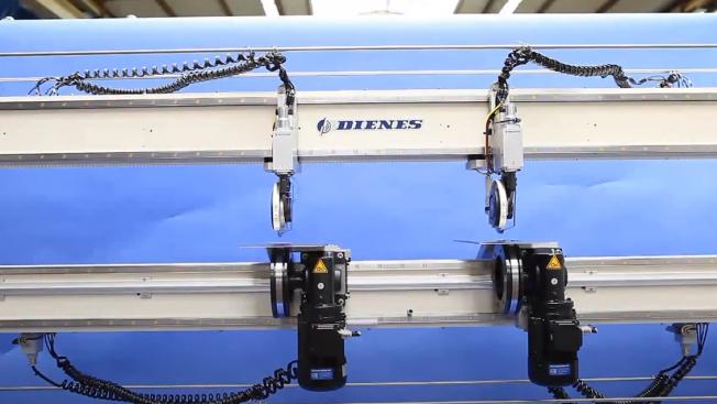 DIENES – Besäumstation (V19)